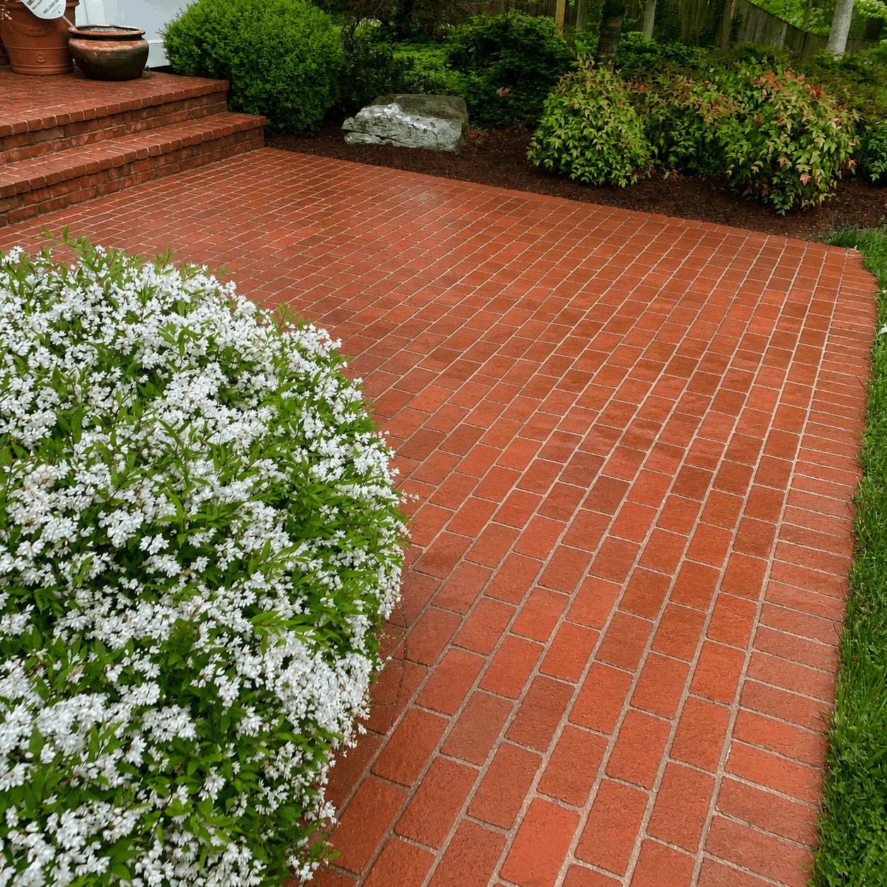Brick patio after cleaning