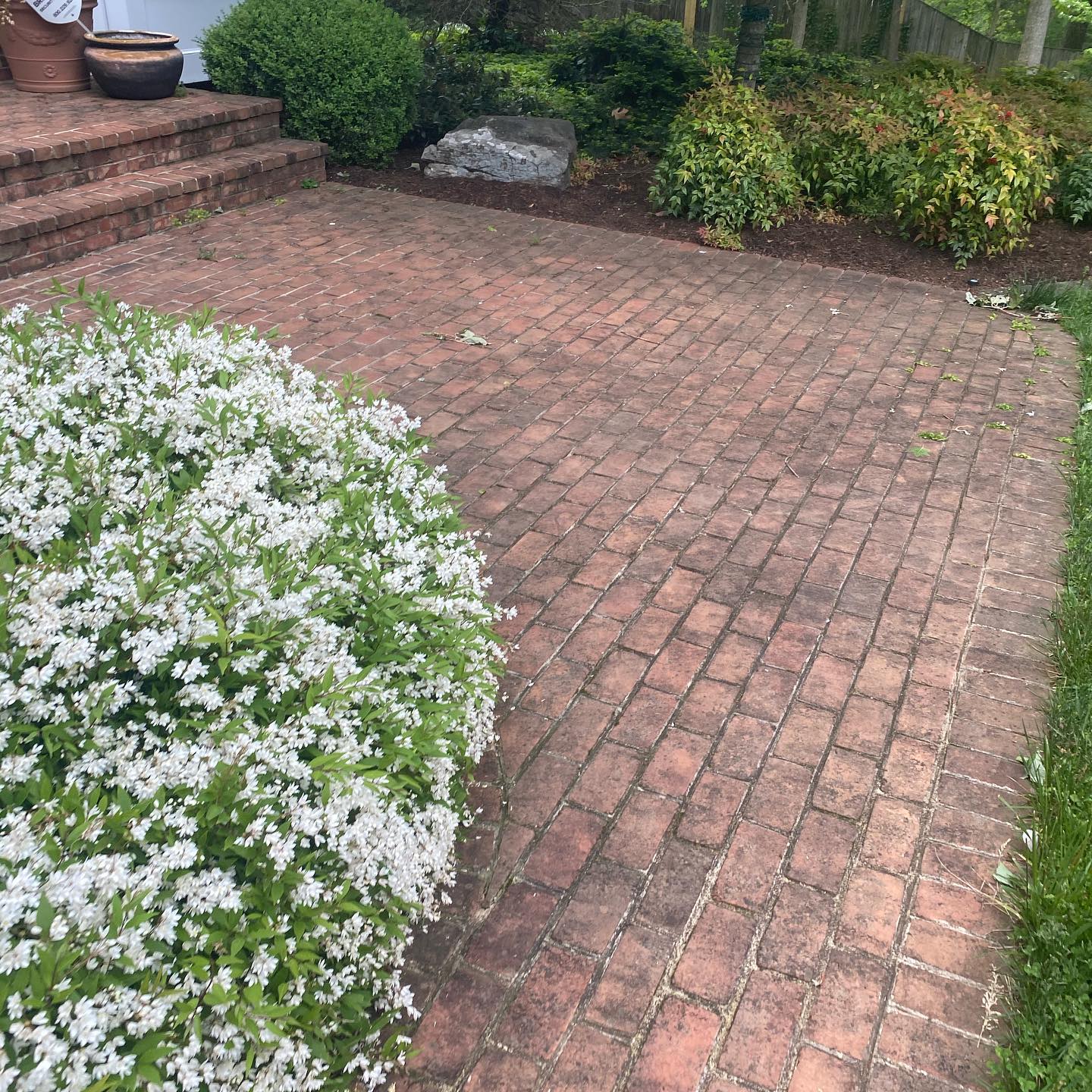 Brick patio before cleaning