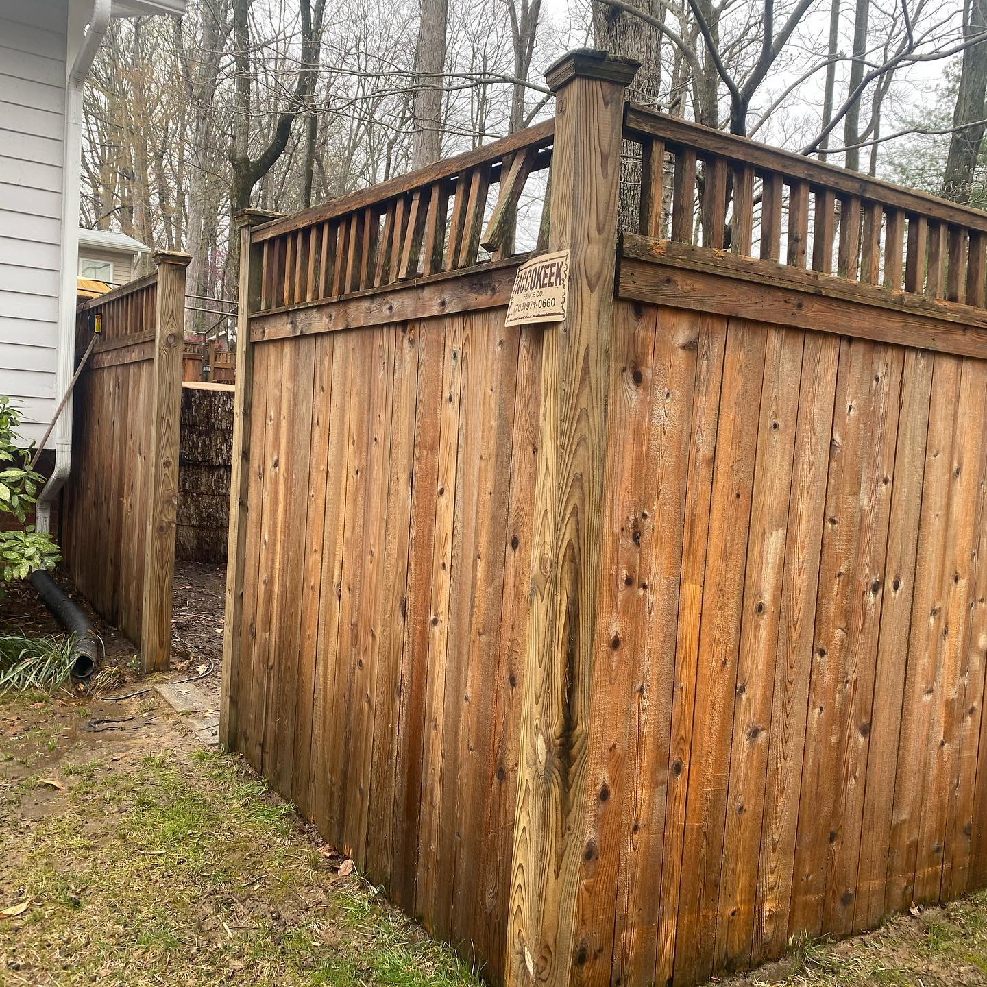 Fence after cleaning