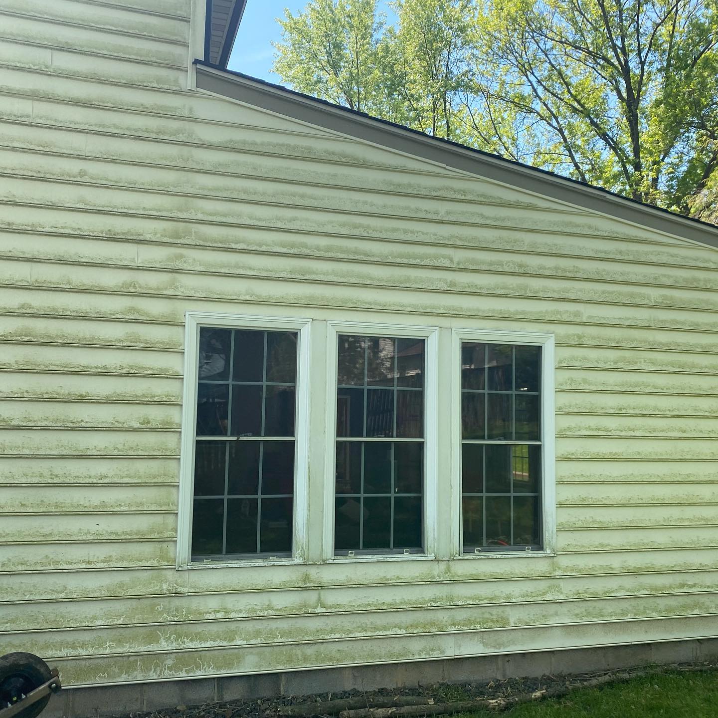 Siding before cleaning