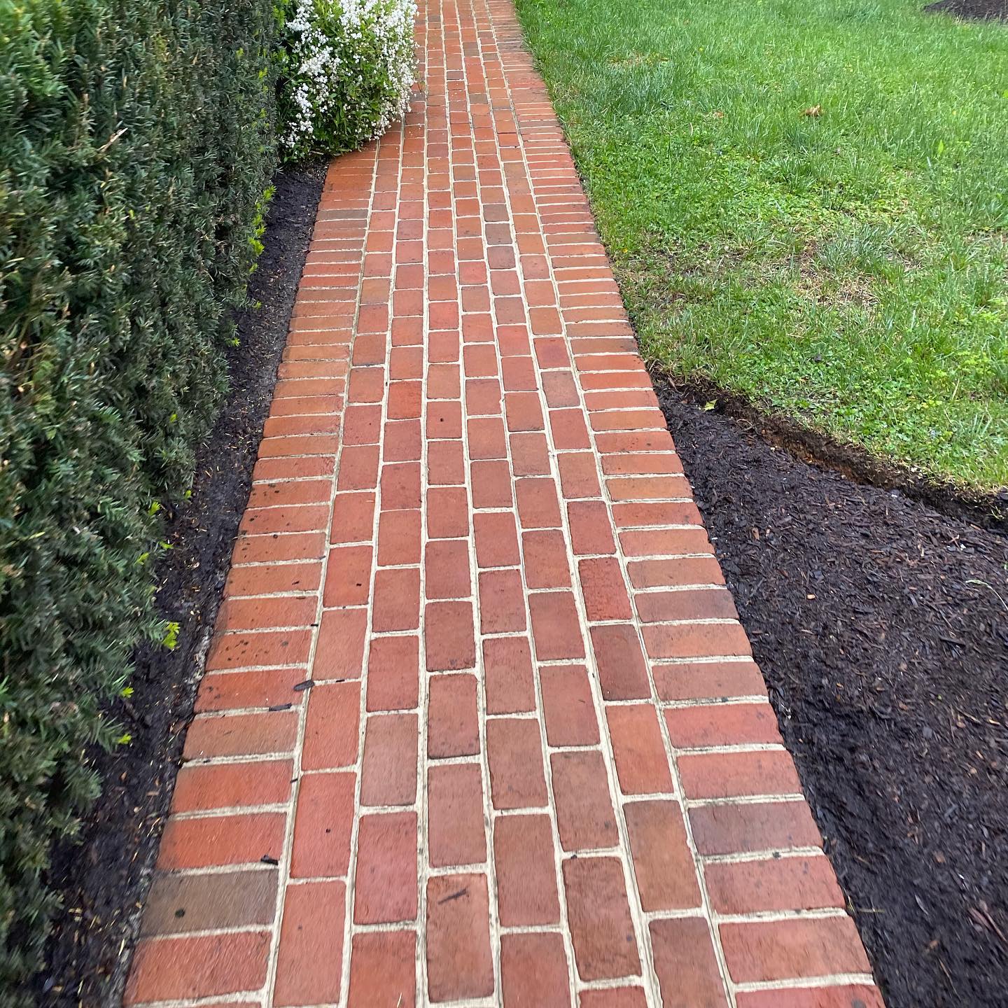Brick walkway after professional cleaning