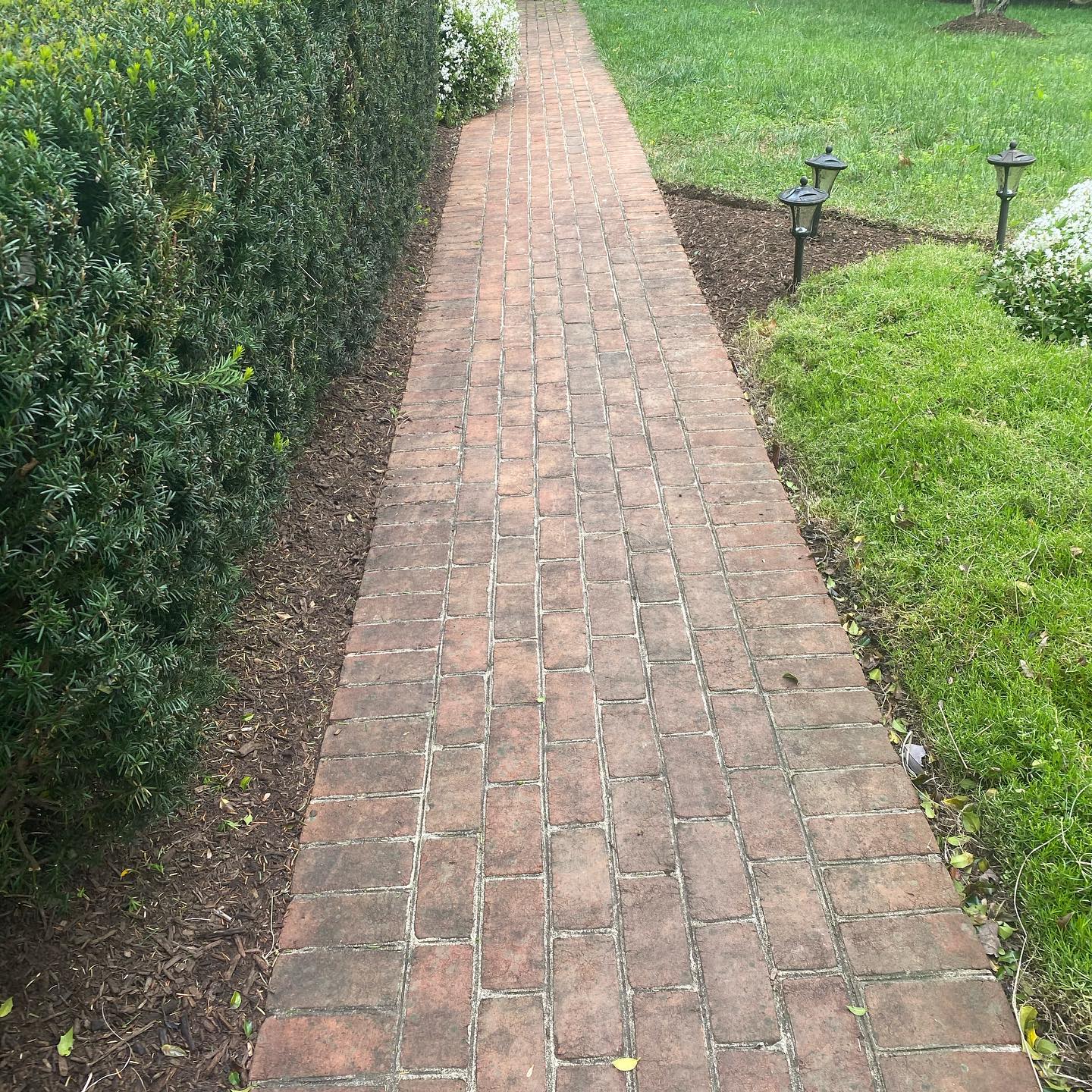 Brick walkway before professional cleaning